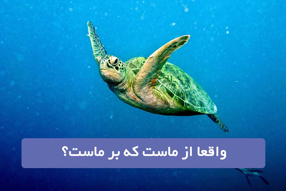 اهمیت بستر اجتماعی